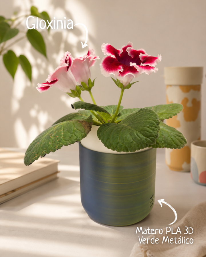 Gloxinia con matero de autoriego verde metálico · imagen 2